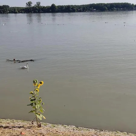River Belgrade